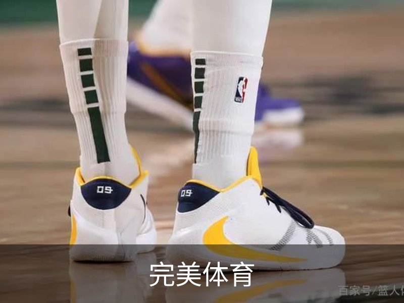 完美体育简介